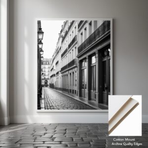 Monochrome Paris Streetscape